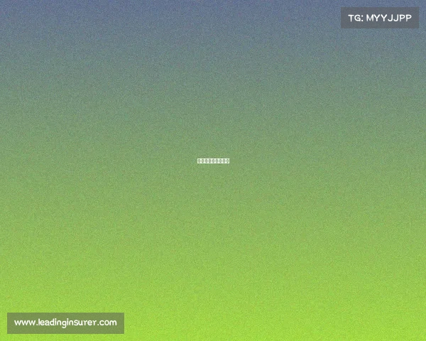 世界杯比赛现场直播