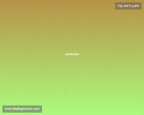 电子竞技暖男;电子竞技剧